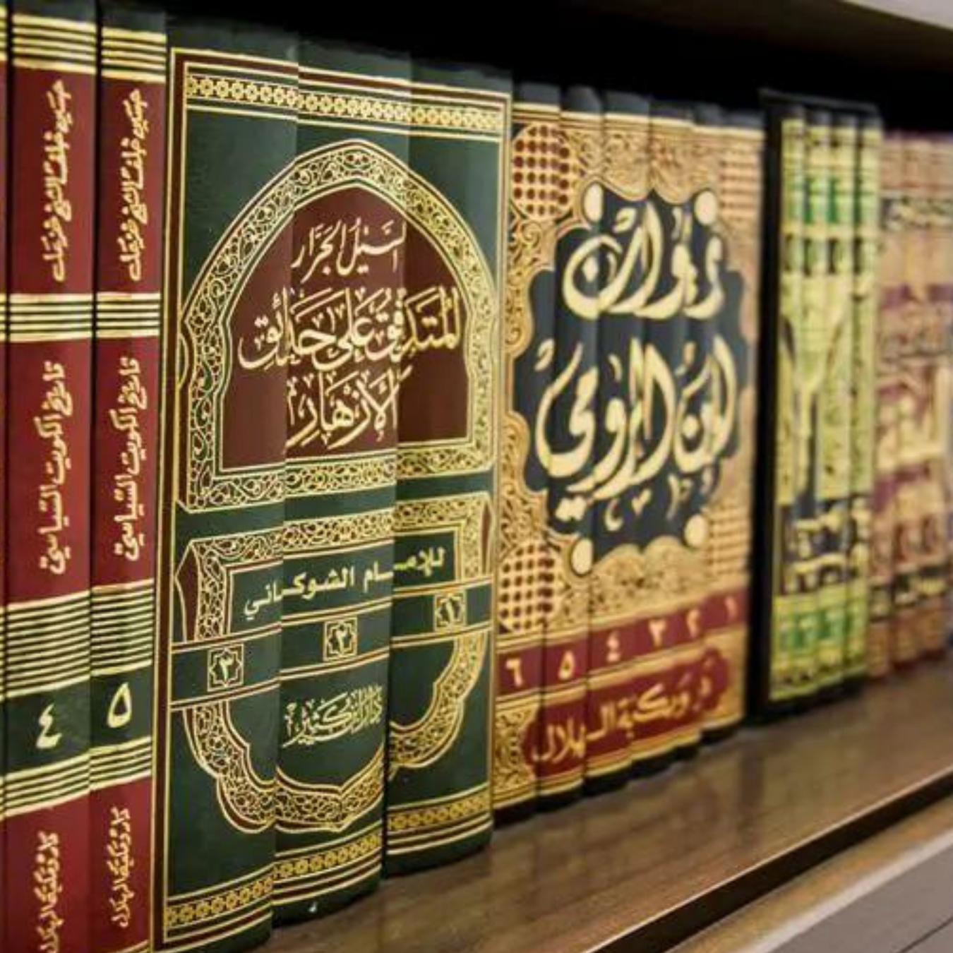 Quran/Hadith Studies