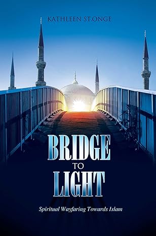 Bridge To Light Kindle Edition