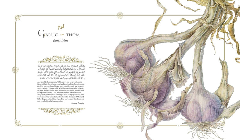 Plants of the Qur'an: History & culture (Hardcover)