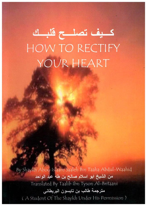 How To Rectify Your Heart