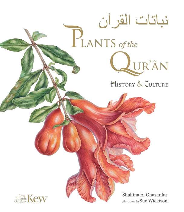 Plants of the Qur'an: History & culture (Hardcover)